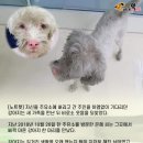 미소주유소 - 군산시 | 미소주유소