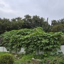 학당농장 이미지