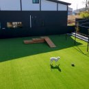 료칸향호 이미지