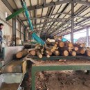 함양톱밥 이미지