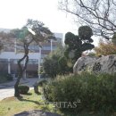 대륜고등학교 이미지