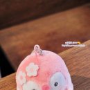 인형짱뽑고뽑기 이미지