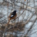 북면생태공원(다목적광장) | 북면수변생태공원 탐조(달무리광장~다목적광장) / 창원