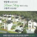 라온 스토리