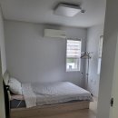 윗시 | 제주도 한달살기 숙소(새벽별펜션)