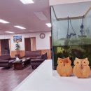 강화안마원 이미지