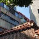 강서구-61 이미지