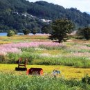 광양진월중학교 이미지