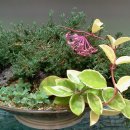 새빛안경점 이미지