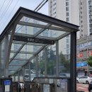 댕댕미식회 이미지