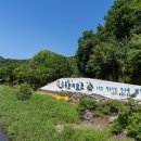 신흥수영장 내 이미지