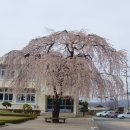 모량초등학교 이미지