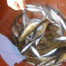 충청도민물매운탕 이미지