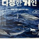 종달구경 이미지