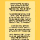 목포영화중학교 이미지