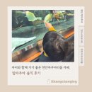 4737 | 아이와 함께 가기 좋은 천안아쿠아리움 카페, 팀아쿠아 솔직 후기