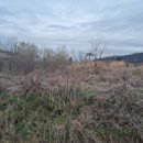 세븐일레븐3공단점 이미지