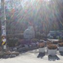 수락초등학교 | 수락산 시산제 2016.3.10.(목)
