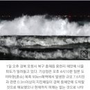 해일통상 네이버블로그