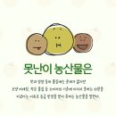 일일농산물 네이버블로그