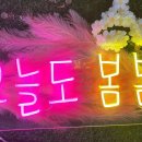 동일사인 이미지
