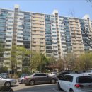 강남-151 이미지