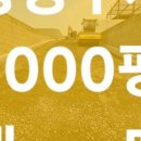 성거카센타 네이버블로그
