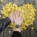 소울네일 | 내돈내산 웨촬네일)) 미오뷰티네일후기