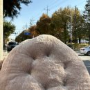 일동할인마트 | [안산] 올 겨울 두툼한 이불이 필요하다면 가성비 좋은 도소매전문 #대일침장 #내돈내산