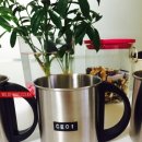 와일드피싱 이미지