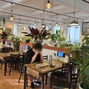 도토리 정원 이미지