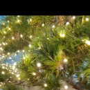 유현목장 이미지