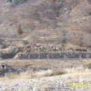 지리산농장2 이미지