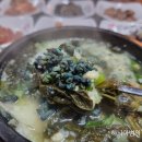 초록다슬기