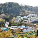 대신공원 숲길 이미지