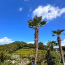 거제중앙로1길 | 거제도 여행 도장포 유람선 해금강 외도보타니아 입장료 예약