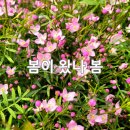 산림조합화장실 이미지