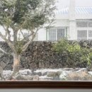 더 평대 이미지