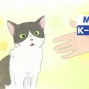 모하(Moha)