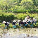행정초등학교 병설유치원 이미지