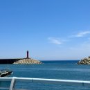 울릉렌트카저동지점