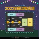 태화강 빛 축제 이미지