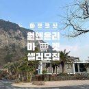 코샷 이미지