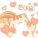 라이덴샤펜 네이버블로그