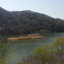 충북 증평 놀러 오세요(좌구산.민속박물관.인삼축제) 이미지