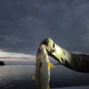 마산4리마을회관 | 남편의 잿방어 아들의 갈치 낚시 [마산 주도항 낚시 마산광암해수욕장 다녀온 후기]