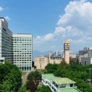 용인대학교 체육과학대학원 이미지