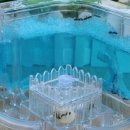 개미농장 이미지