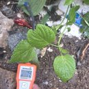 안의가스 | 집 안의 든든한 혈관, 배관에 대해 알아보아요!