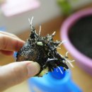 현규농장 이미지